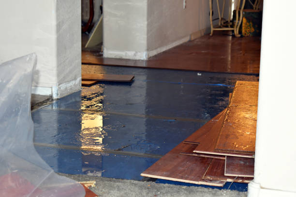 Professional Burst Pipe Cleanup technician working in Parker Dam, CA